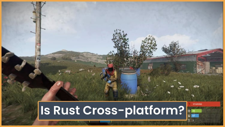 Is Rust Cross-Platform