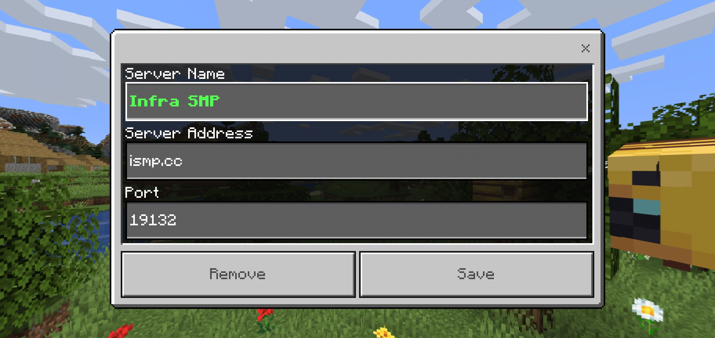 Minecraft Custom Bedrock Servers