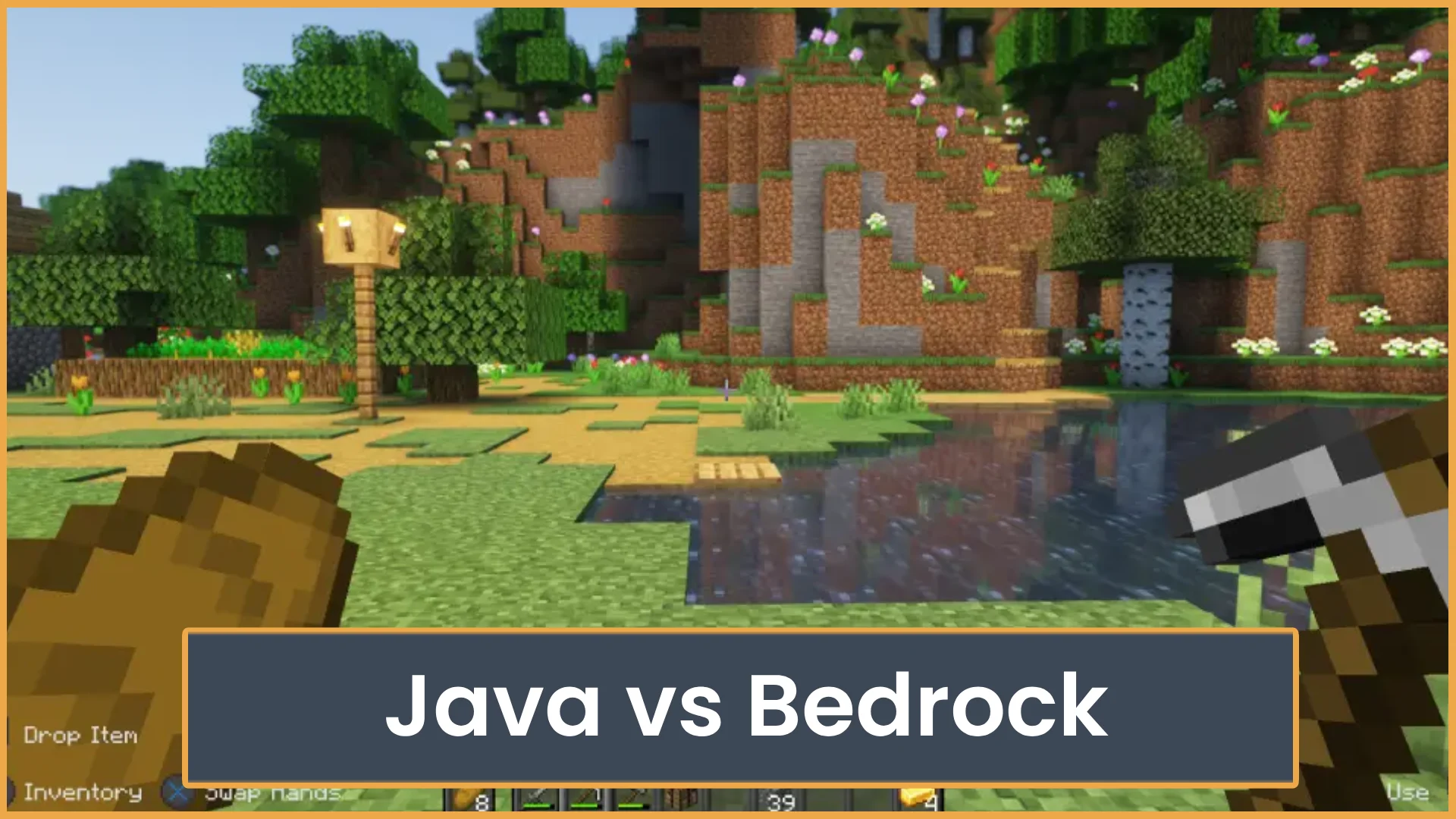 Minecraft Java vs Bedrock
