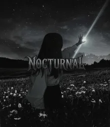 /Nocturnal server logo